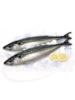  Fryst Makrill 1kg 